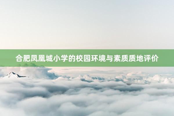 合肥凤凰城小学的校园环境与素质质地评价